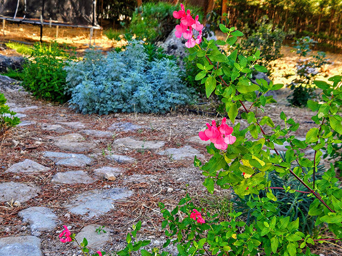 Jardín naturista con sendero en granito. Torrelodones. Eguzki Eco Jardín