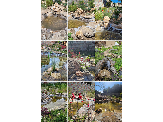 Estanque naturalizado Guadarrama