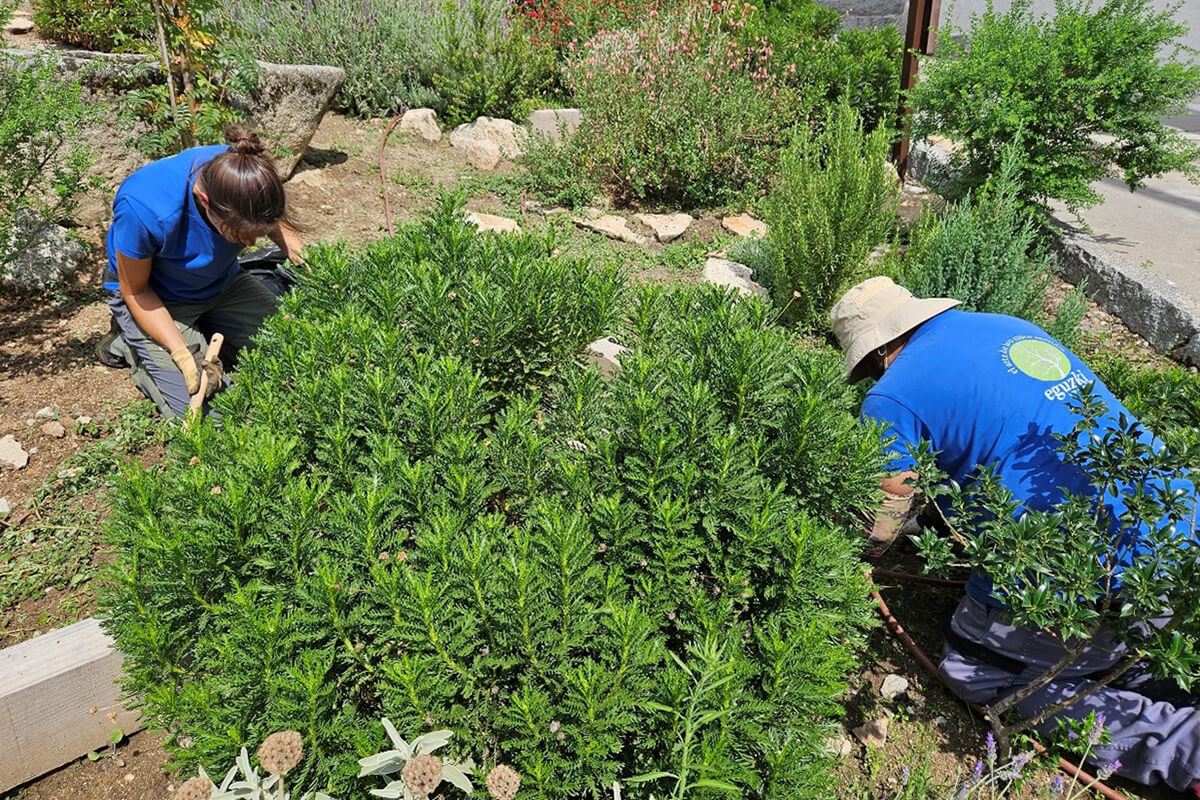 Cuidamos tu jardín_Eguzki eco-jardín
