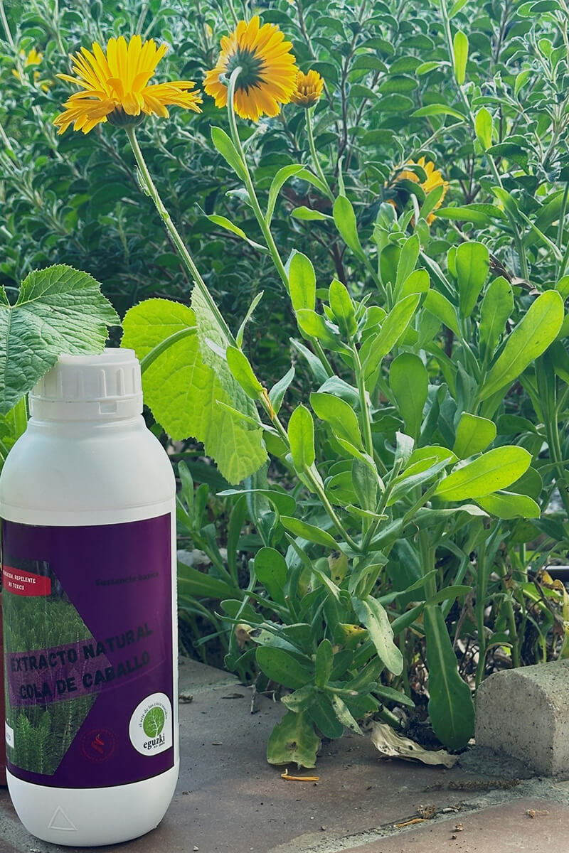 La salud de las plantas_Eguzki eco-jardin