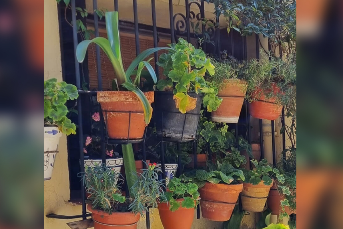 jardineria-vertical1