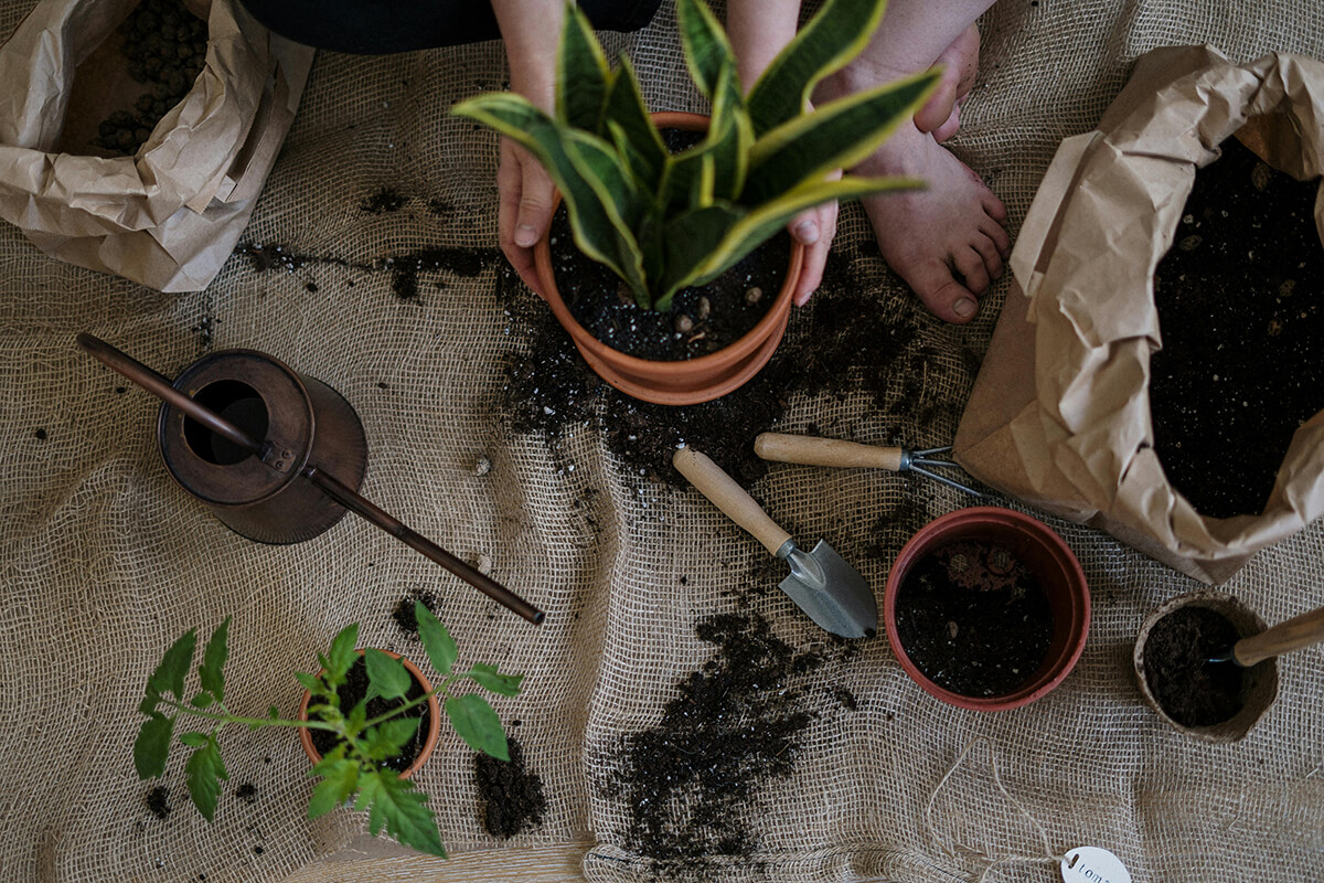 La jardinería es el arte de los cinco sentidos. eguzki eco-jardín