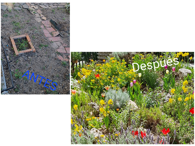 Restauración jardín entrada