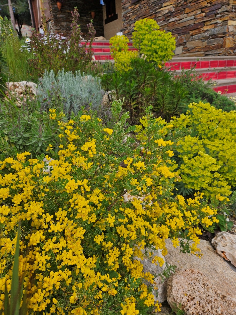 jardin en Rocalla. Eguzki eco jardin