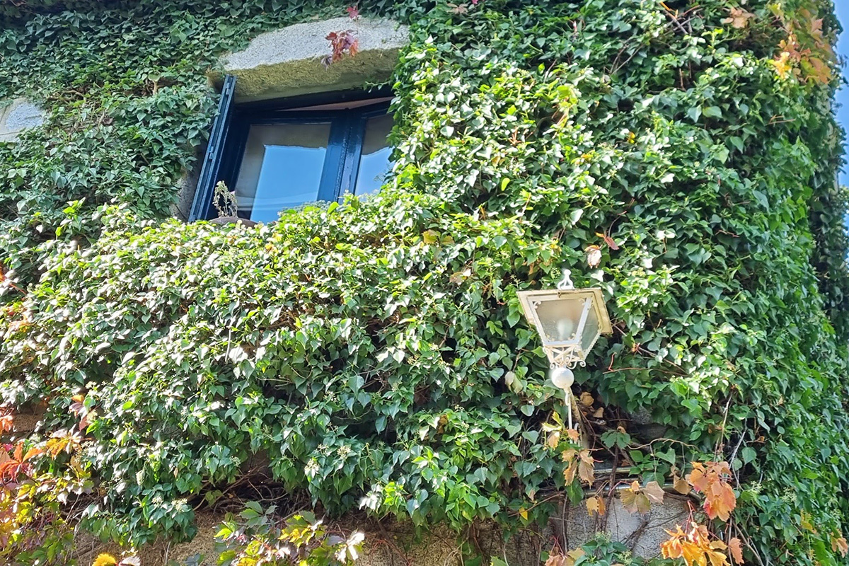 Jardinería Vertical y cubiertas verdes - Eguzki Eco Jardín